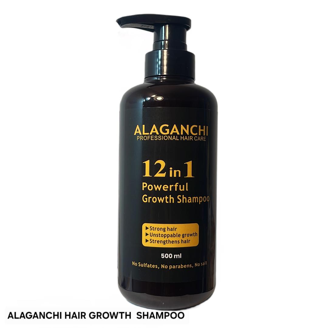 🧴🌿 Alaganchi 12-in-1 Hair Growth Shampoo – Rosemary + Biotin + Argan & Castor Oil + Purple Onion 💆‍♀️✨ (Thicker, Fuller Hair)